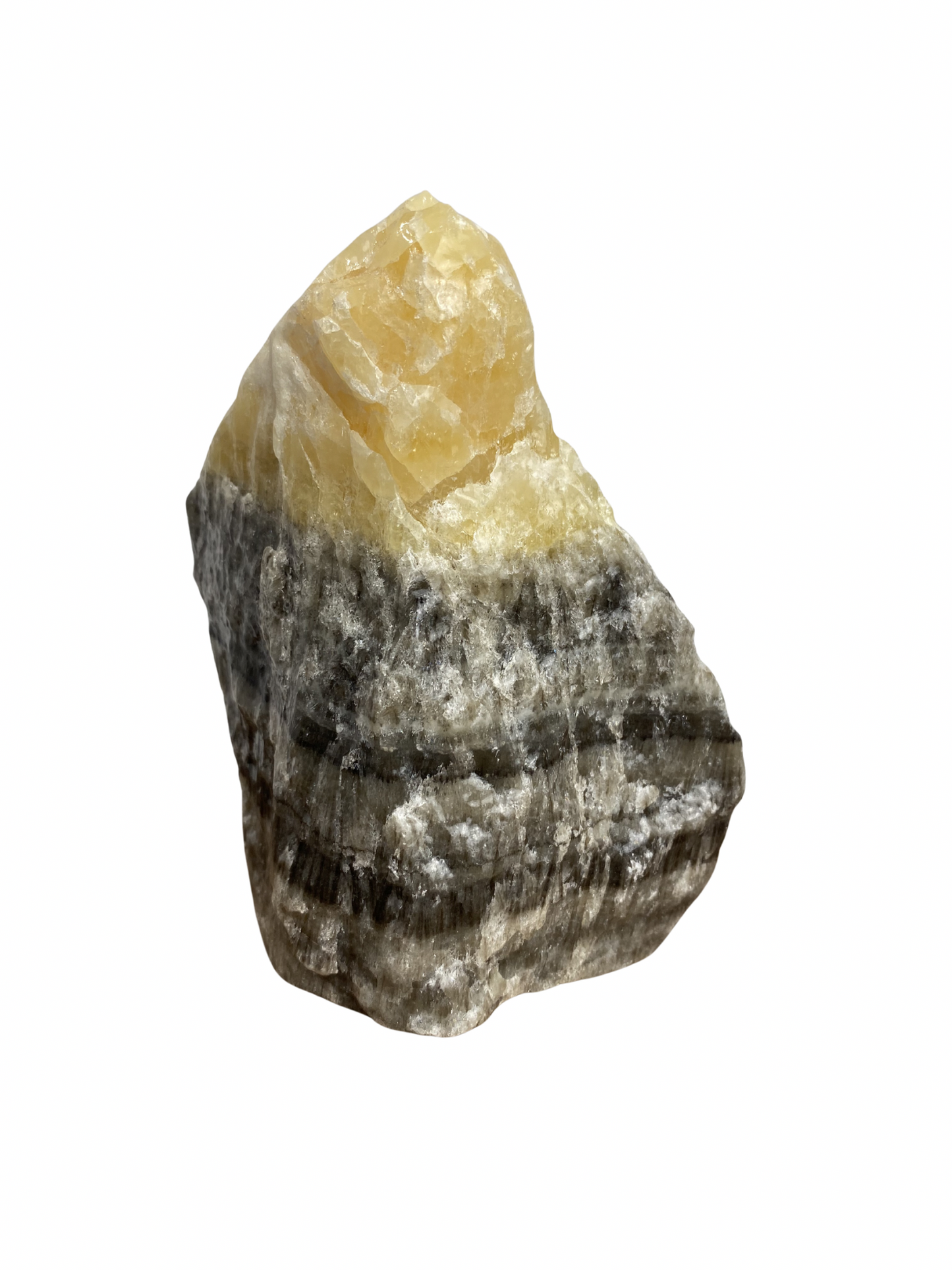 Zebra Calciet brok