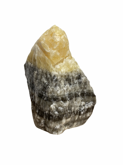 Zebra Calciet brok