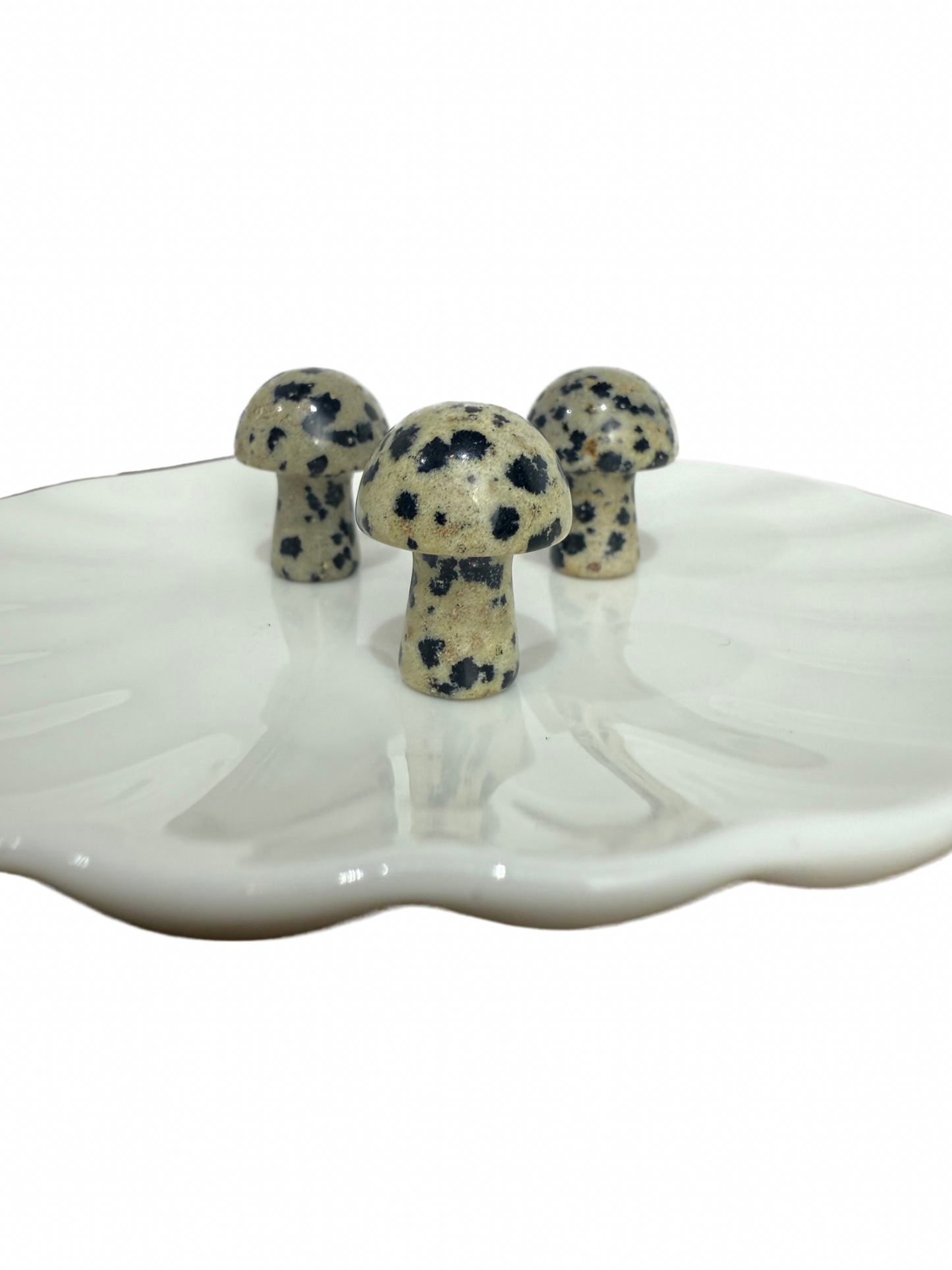 Dalmatiër Jaspis mini paddenstoel