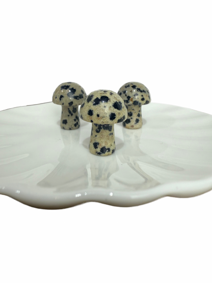 Dalmatiër Jaspis mini paddenstoel