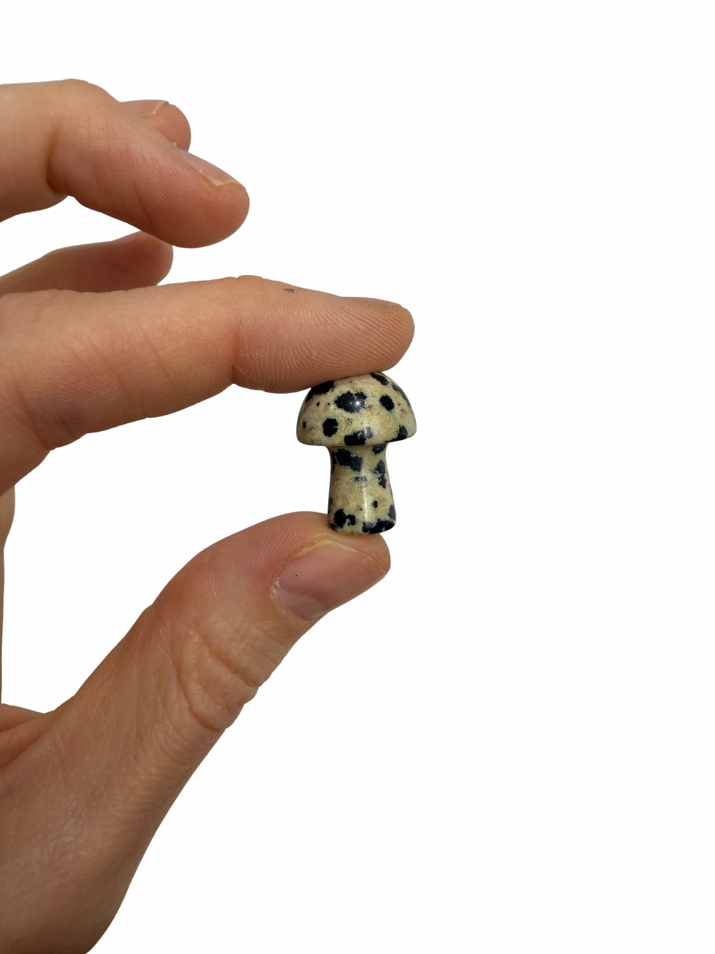 Dalmatiër Jaspis mini paddenstoel