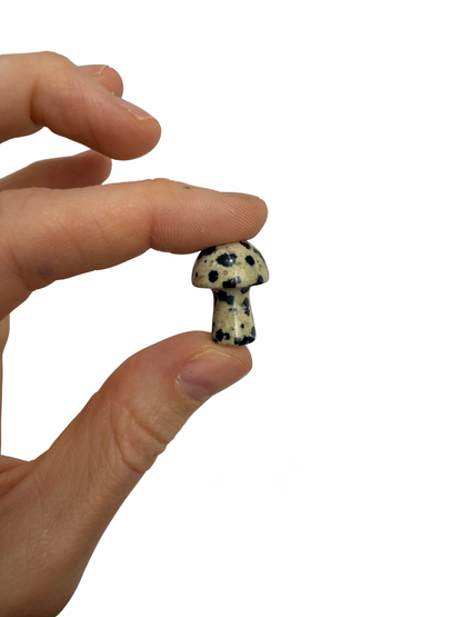 Dalmatiër Jaspis mini paddenstoel