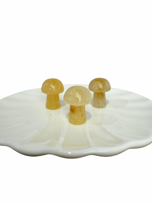 Oranje Calciet mini paddenstoel