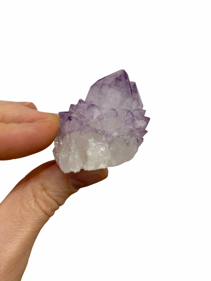 Cactus Spirit Amethist