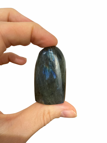 Labradoriet sculptuur 11