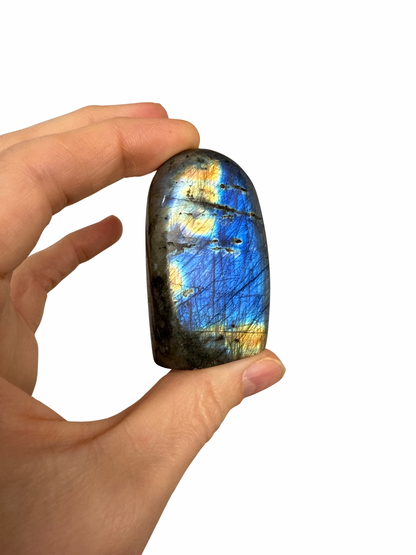 Labradoriet sculptuur 10