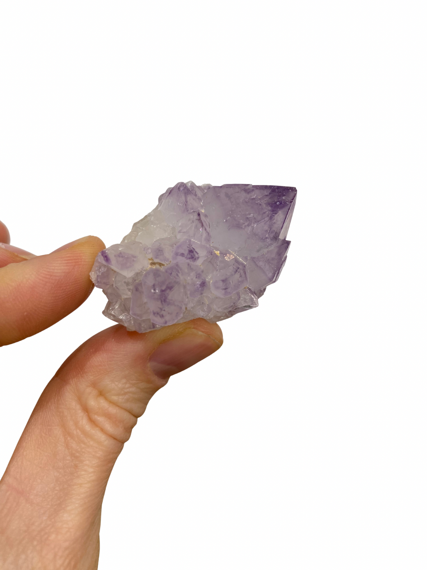 Cactus Spirit Amethist