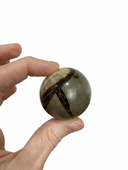 Septarie bol