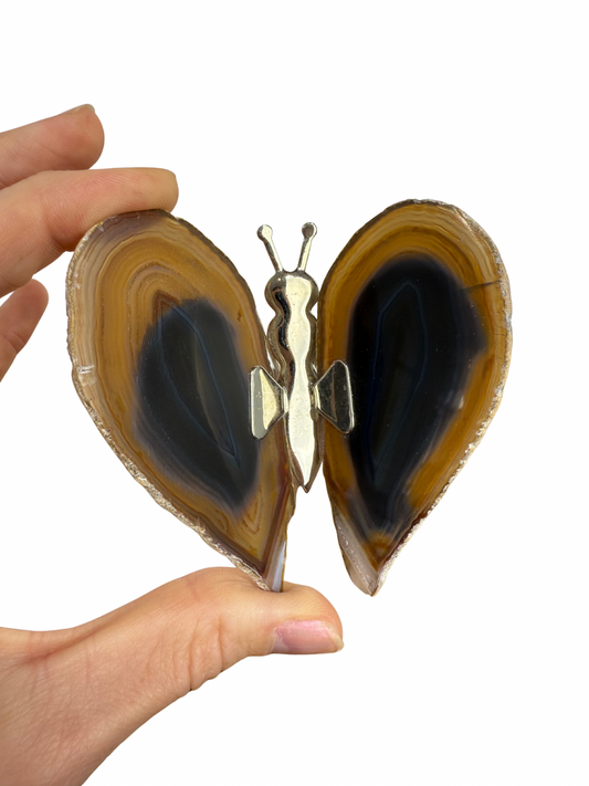 Agate butterfly 3