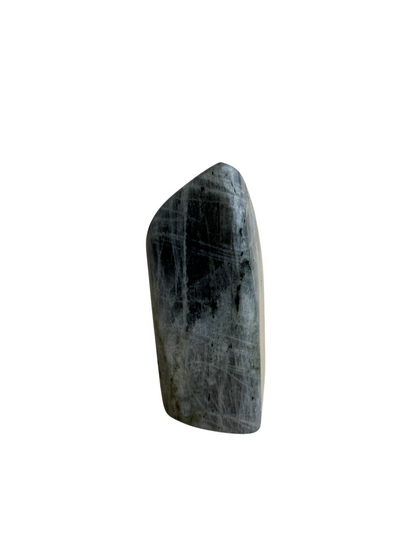 Labradoriet sculptuur