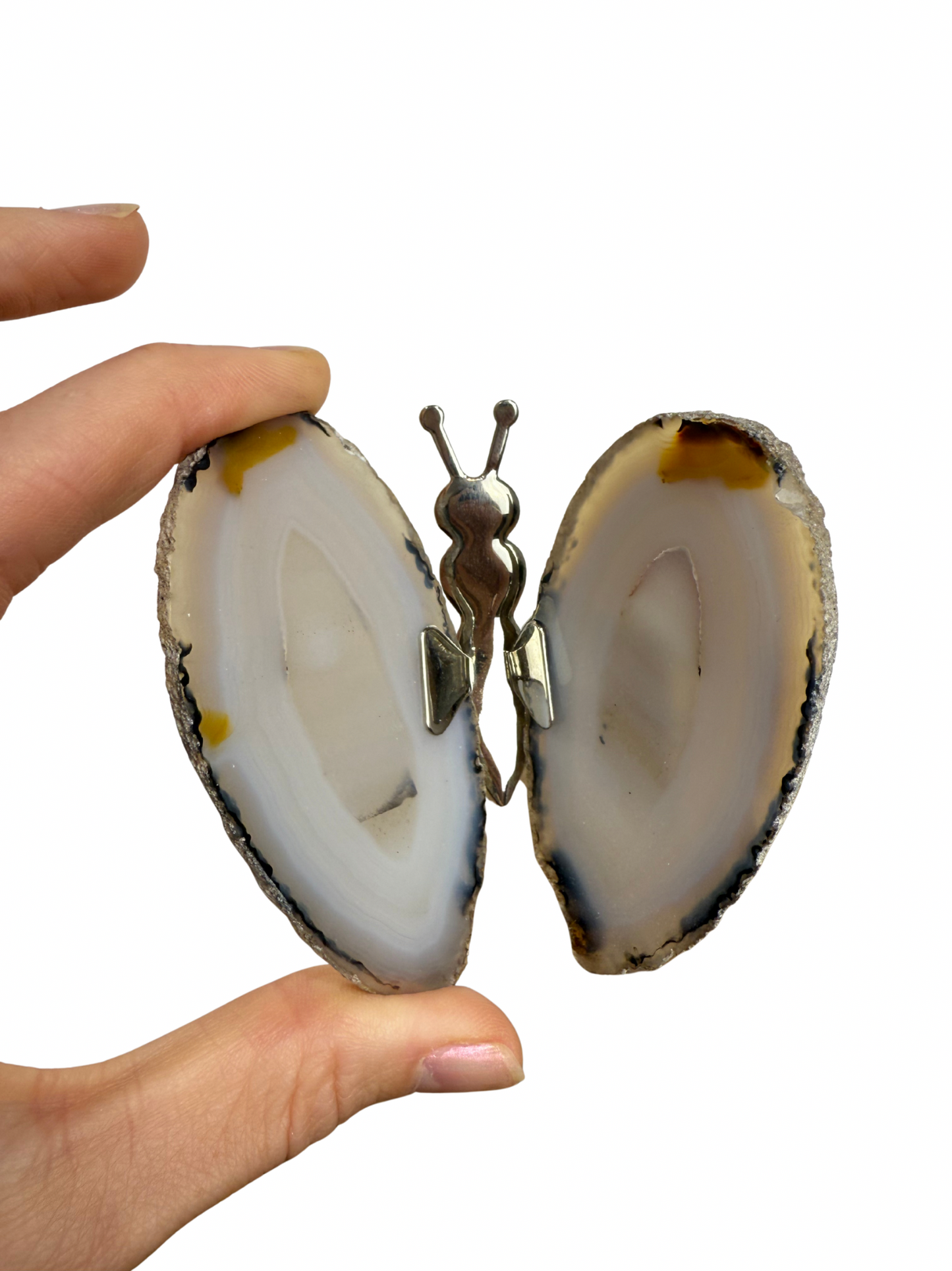 Agate butterfly 6