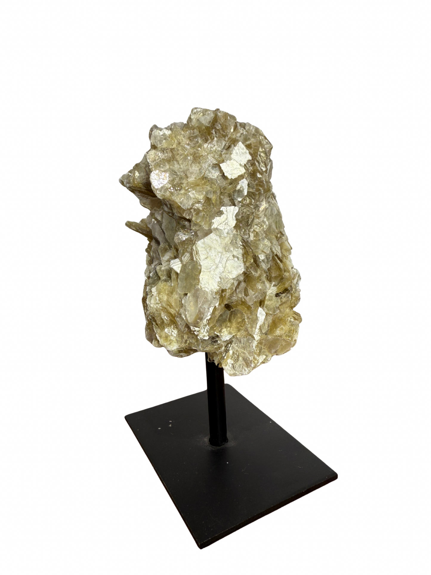 Gouden Mica op standaard 1