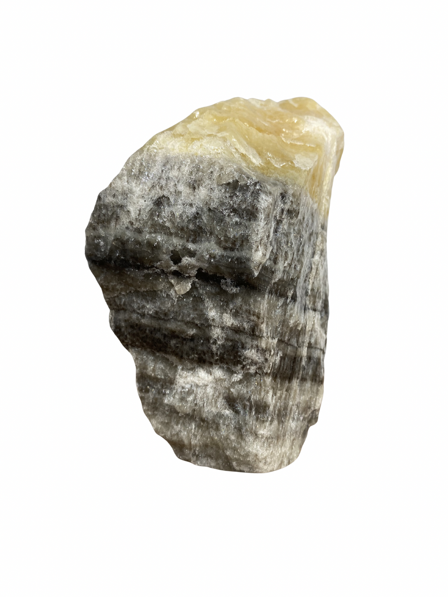 Zebra Calciet brok
