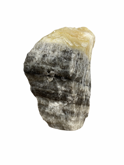 Zebra Calciet brok