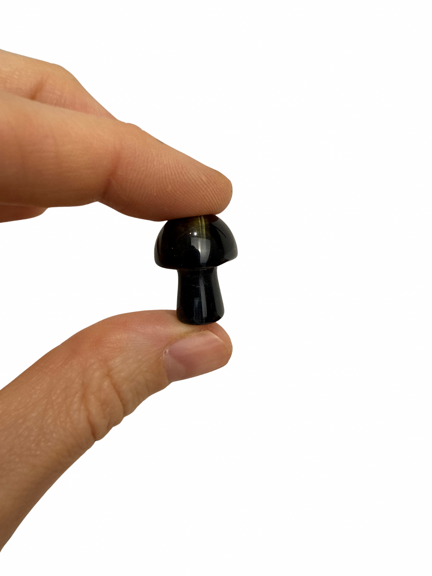 Valkenoog mini paddenstoel