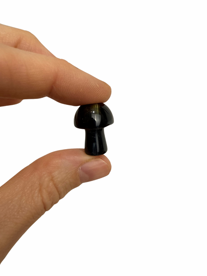 Valkenoog mini paddenstoel