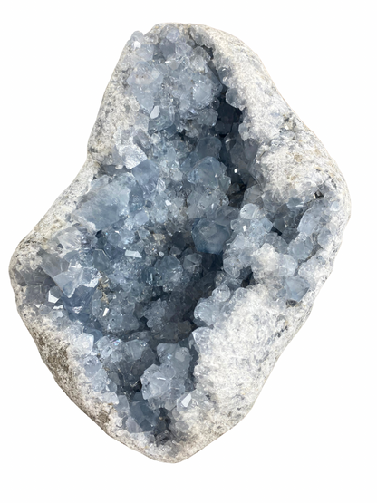 Celestien cluster XL (Madagascar) | 6 kg