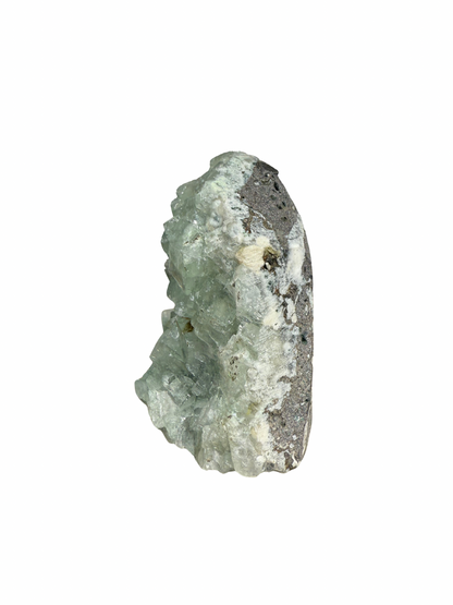 Apofyliet cluster op standvlak