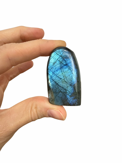 Labradoriet sculptuur 11