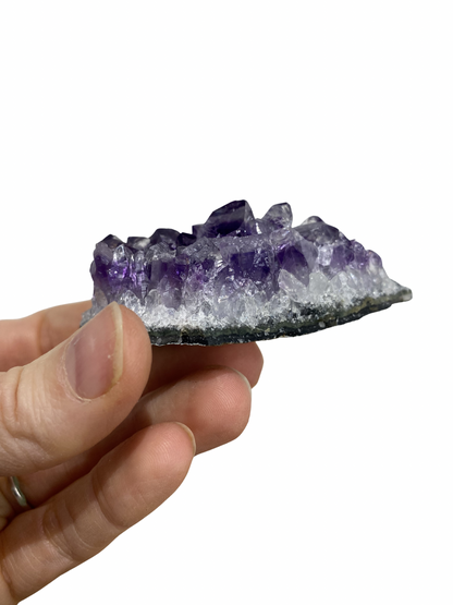 Amethyst cluster