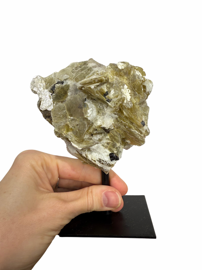 Gouden Mica op standaard