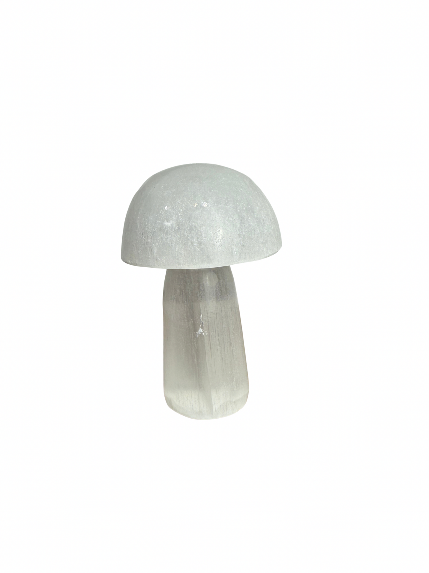 Seleniet paddenstoel 6 cm