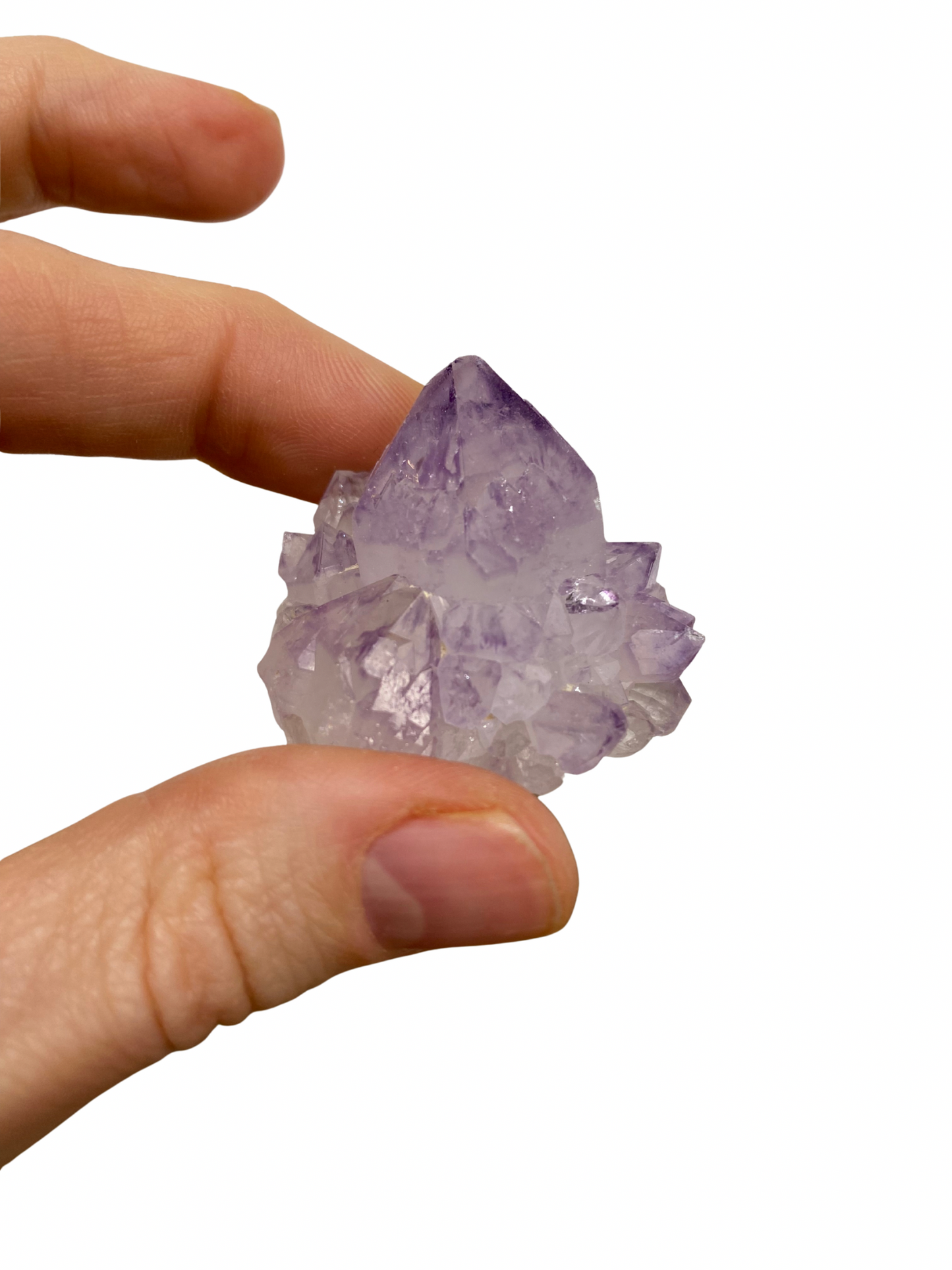 Cactus Spirit Amethist 1