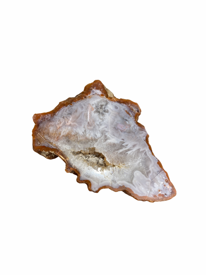 Agate slice
