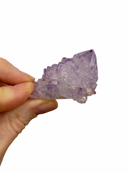 Cactus Spirit Amethist