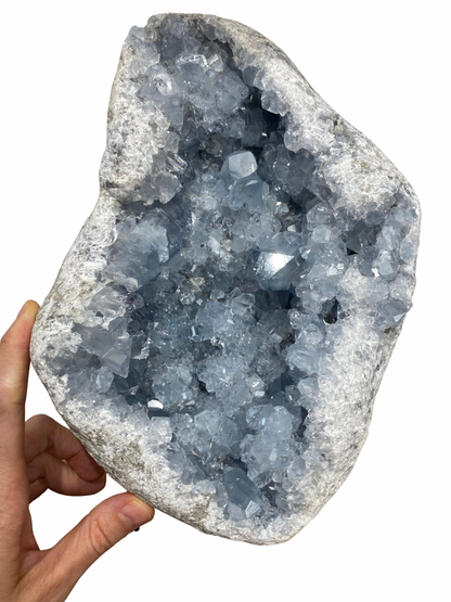 Celestien cluster XL (Madagascar) | 6 kg