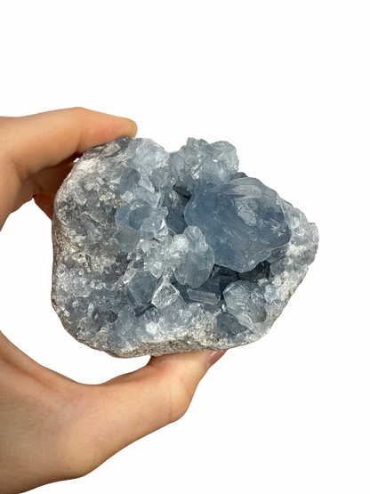 Celestien cluster 5