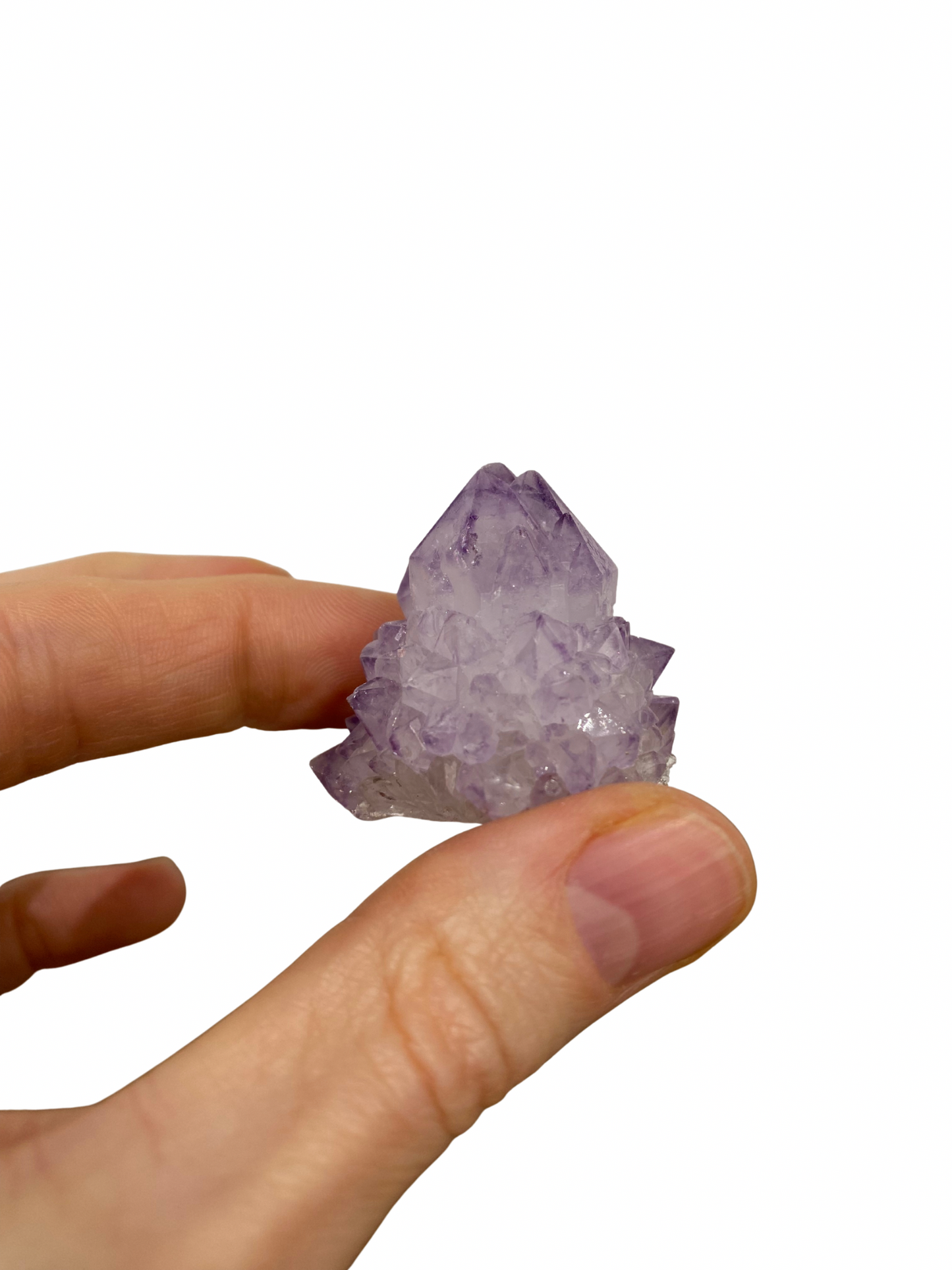 Cactus Spirit Amethist 2