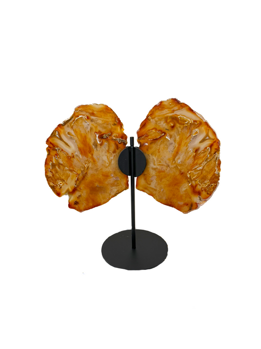 Agaat vlinder op standaard