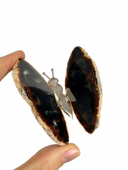 Agate butterfly 4