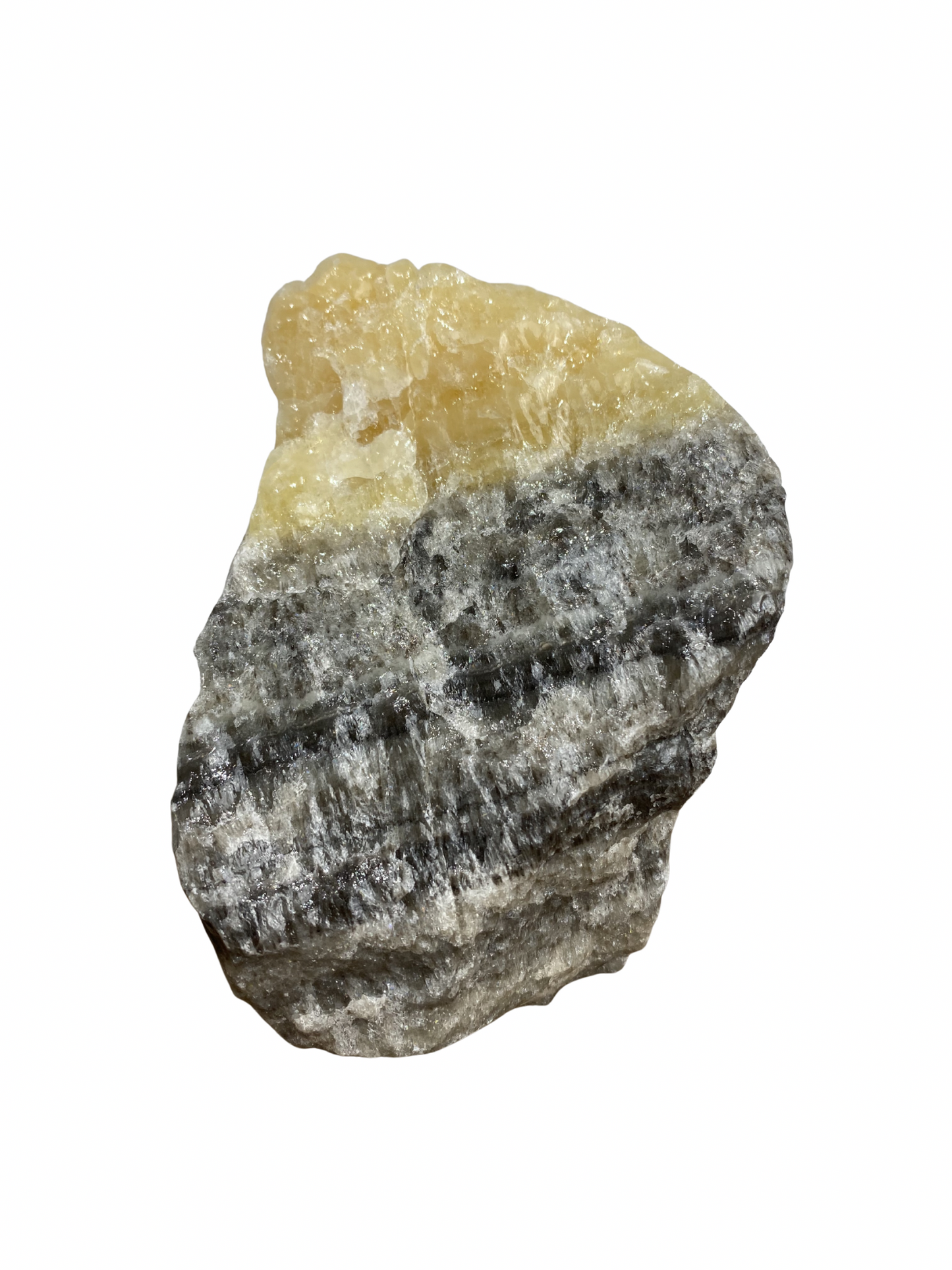 Zebra Calciet brok