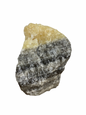 Zebra Calciet brok