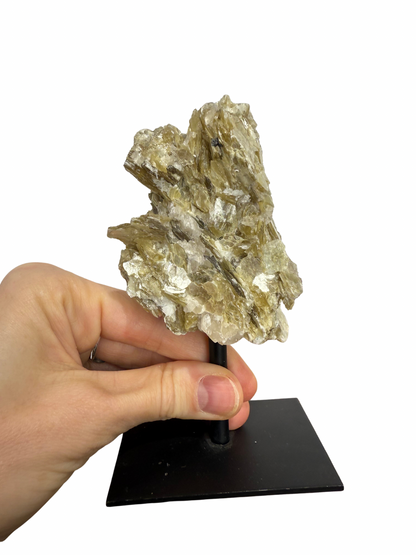 Gouden Mica op standaard 1