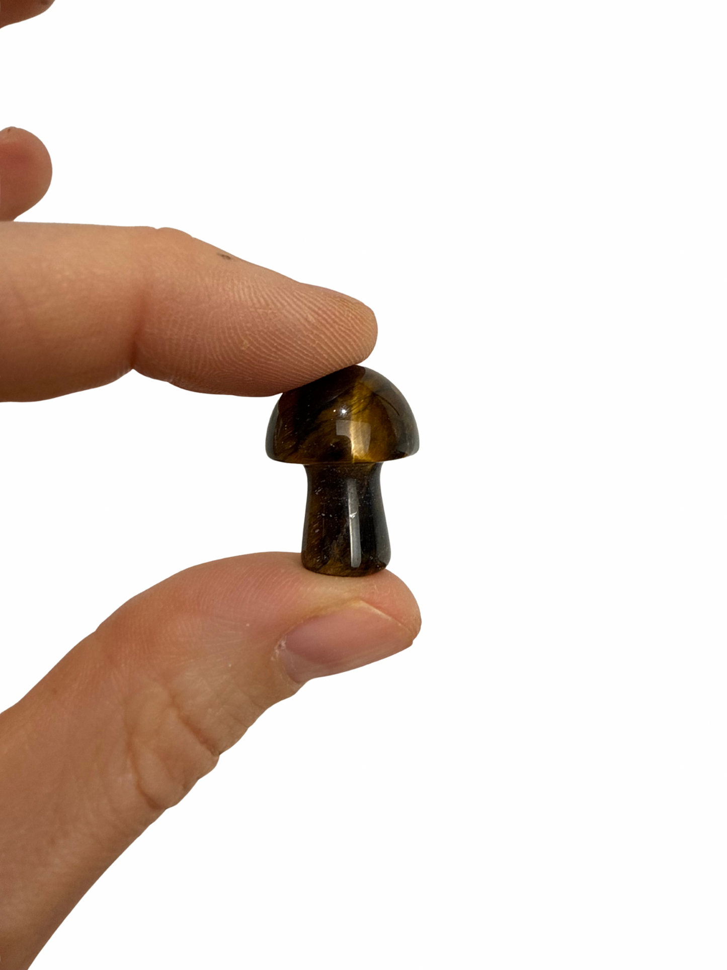 Tijgeroog mini paddenstoel