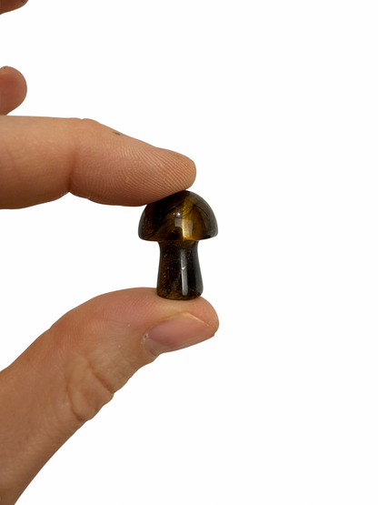 Tijgeroog mini paddenstoel