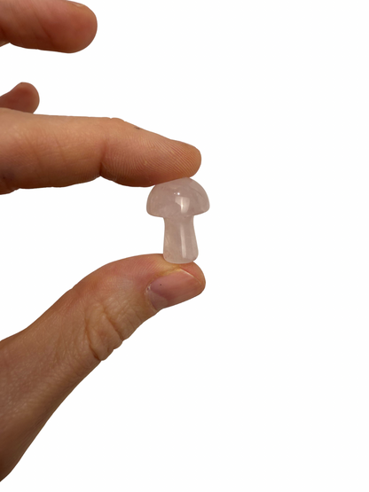 Rozenkwarts mini paddenstoel