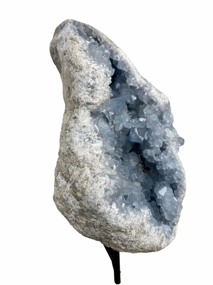 Celestien cluster XL (Madagascar) | 6 kg