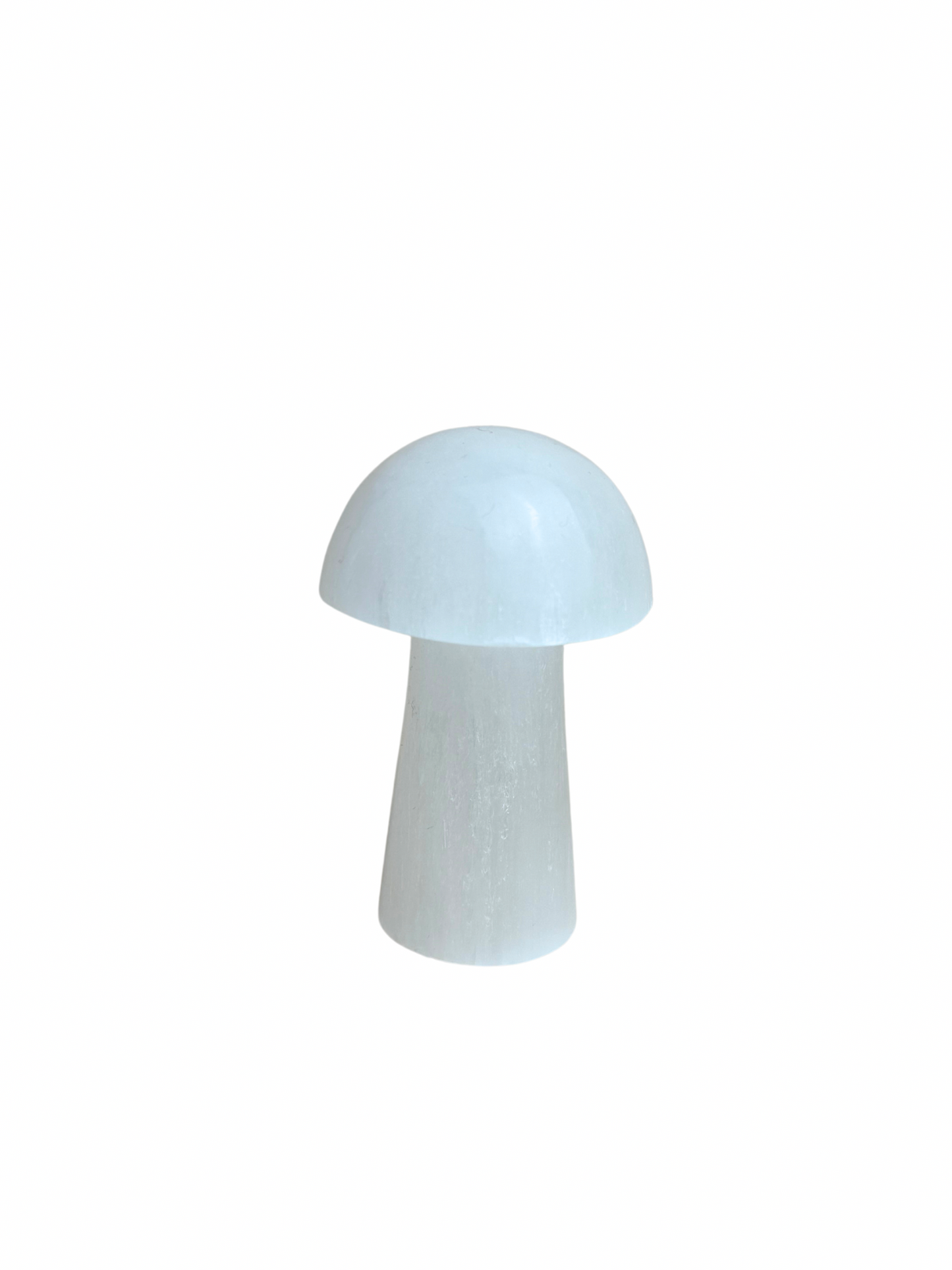 Selenite mushroom