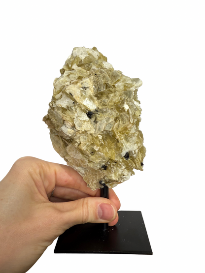 Gouden Mica op standaard