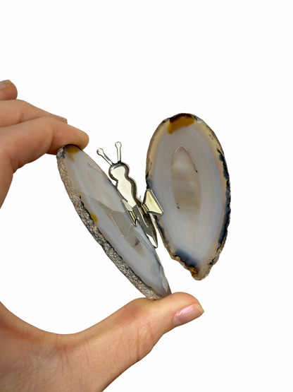 Agate butterfly 6