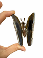 Agate butterfly 7