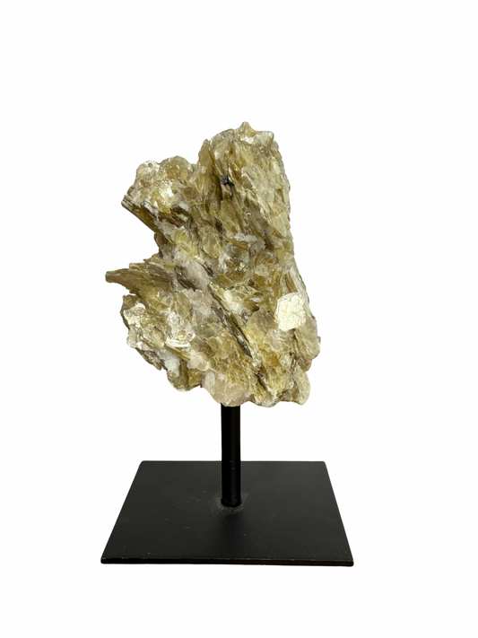 Gouden Mica op standaard 1