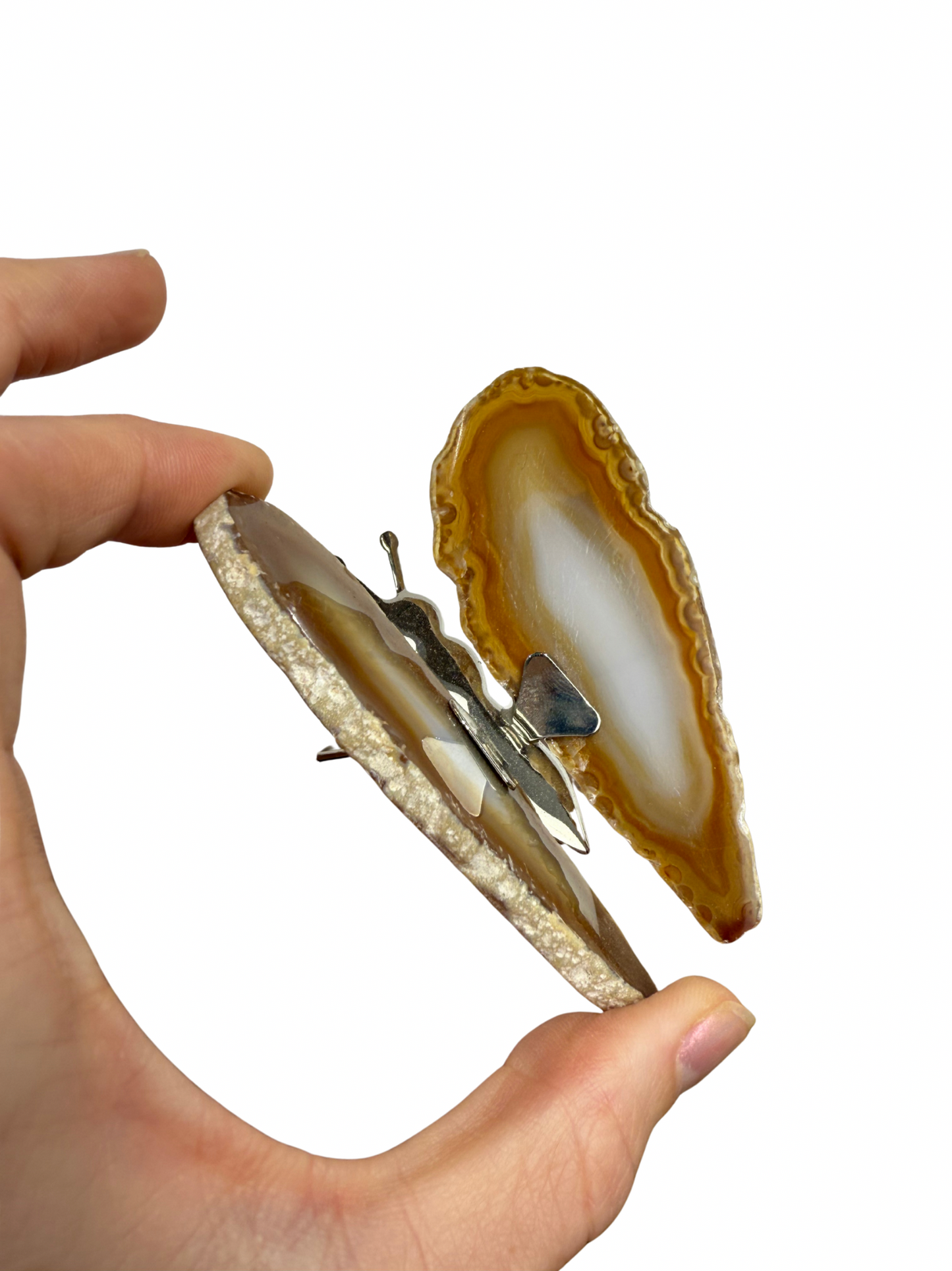 Agate butterfly 8