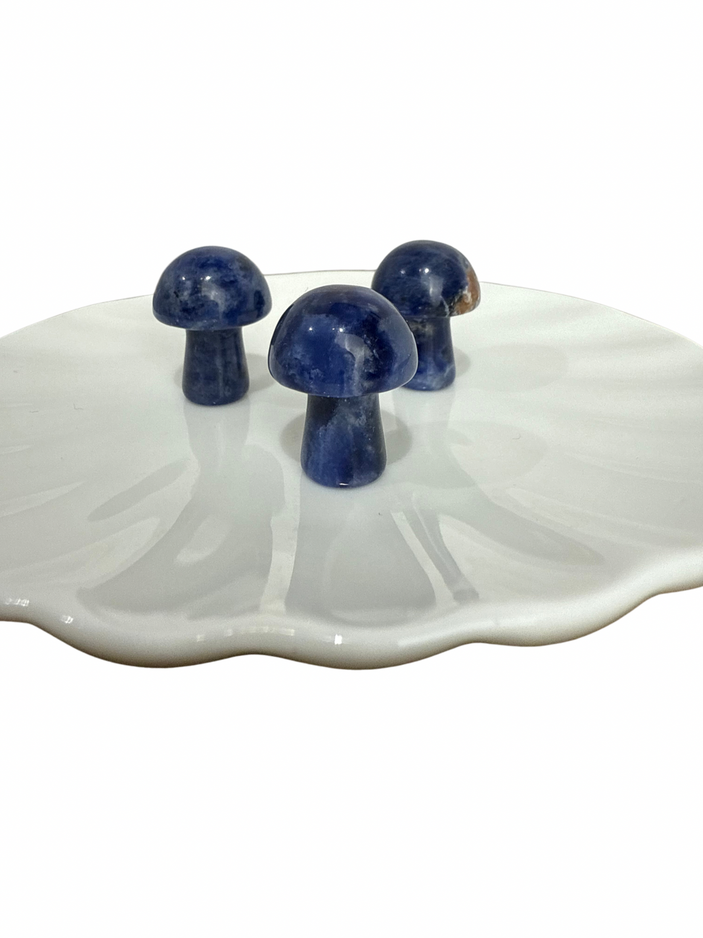 Sodaliet mini paddenstoel