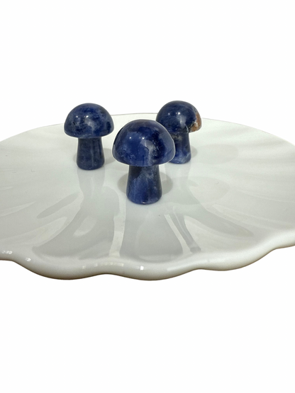 Sodaliet mini paddenstoel