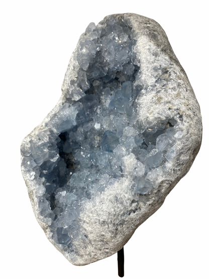 Celestien cluster XL (Madagascar) | 6 kg